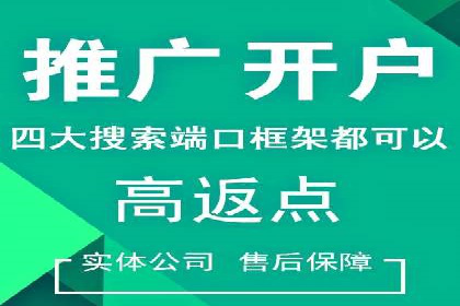 竞价排名成功案例分享
